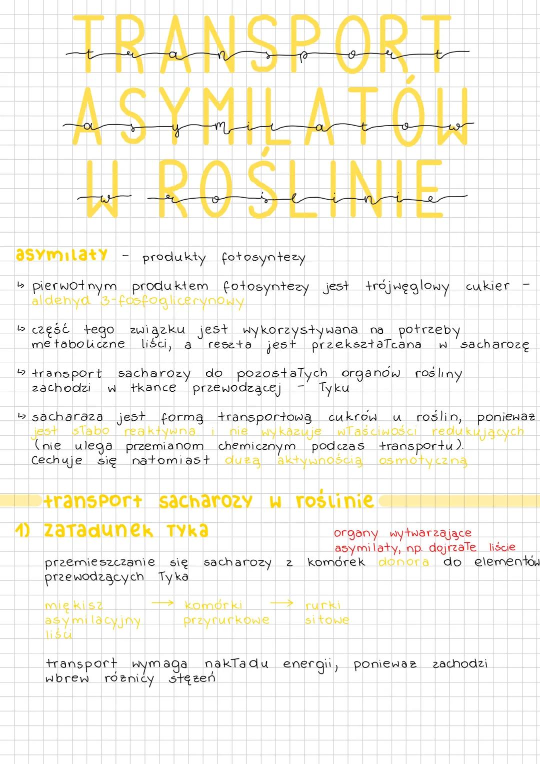 # TRANSPORT
# ASYMILATOW
# W ROSeine
asymilaty - produkty fotosyntezy
↳ pierwotnym produktem fotosyntezy jest trójwęglowy cukier -
aldeh