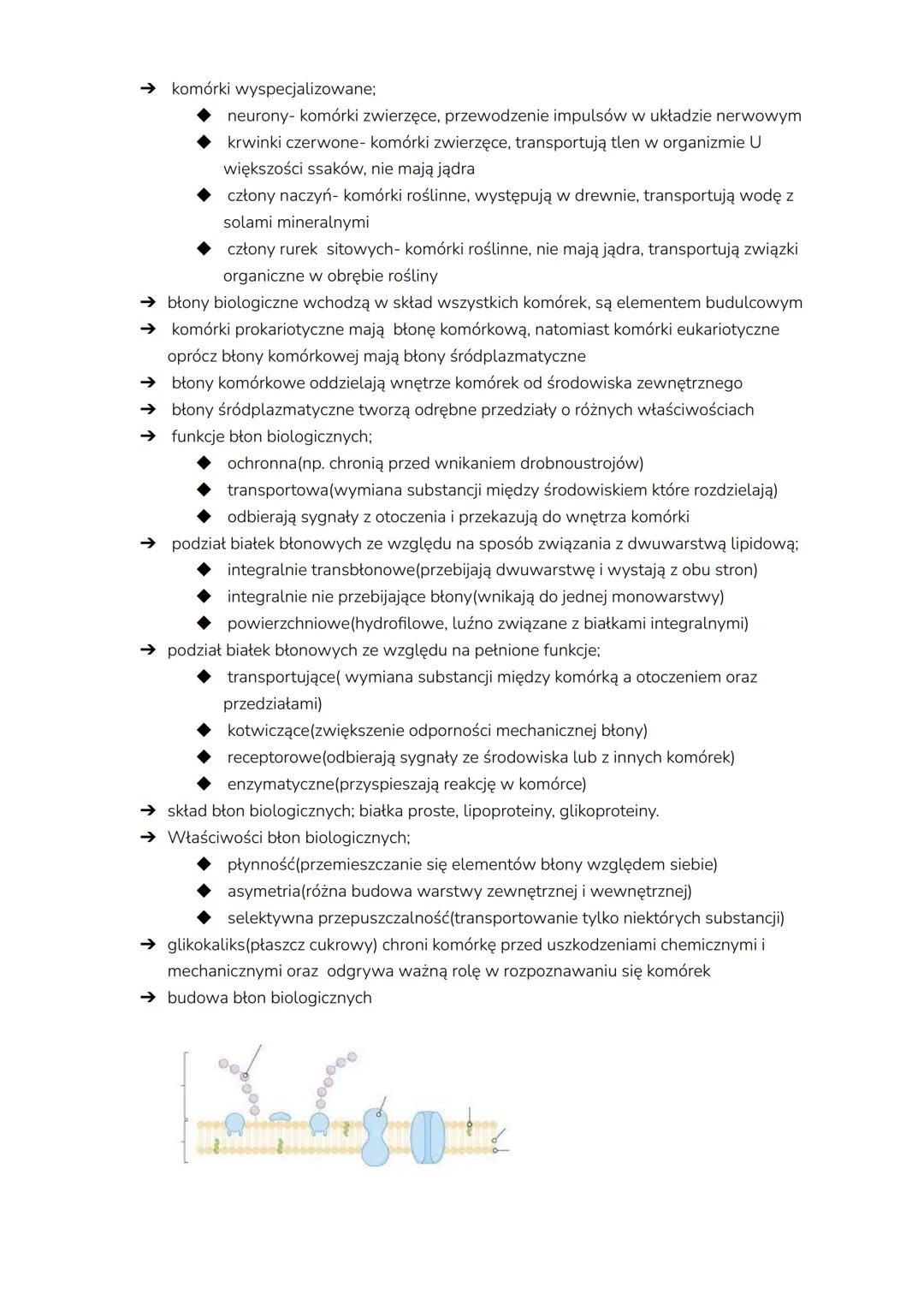 # komórka
→ komórka to podstawowa jednostka życia,budulcowa i funkcjonalna, zdolna do
wykonywania czynności życiowych, może być samodzielny