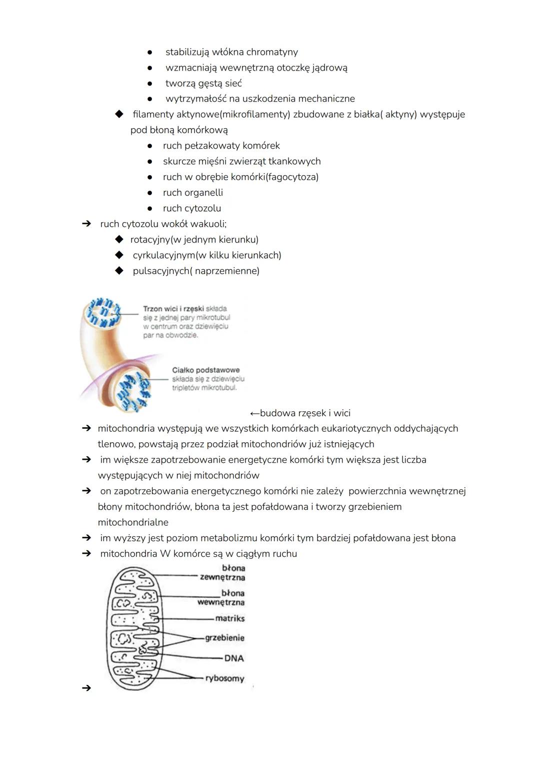 # komórka
→ komórka to podstawowa jednostka życia,budulcowa i funkcjonalna, zdolna do
wykonywania czynności życiowych, może być samodzielny