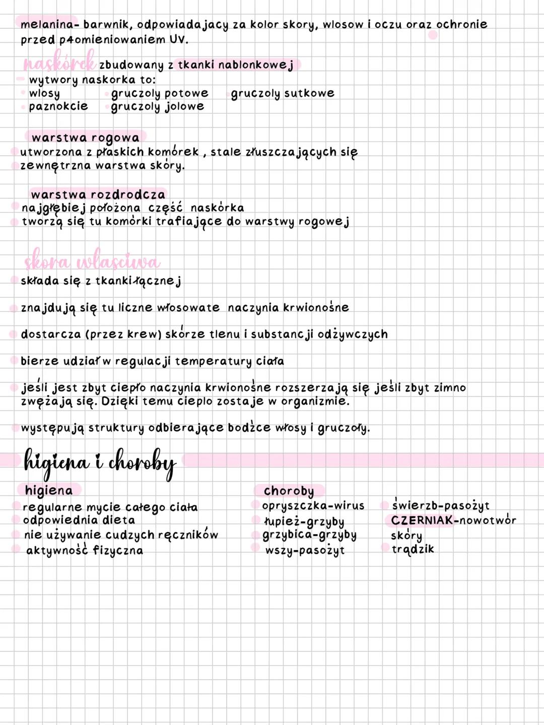 --- OCR Start ---
s skóra
rodzaje tkanek
tkanka nabłonkowa-zbudowana z kilkunastu warstw komorek, chroni ciało przed
uszkodzeniami
tkanka mi