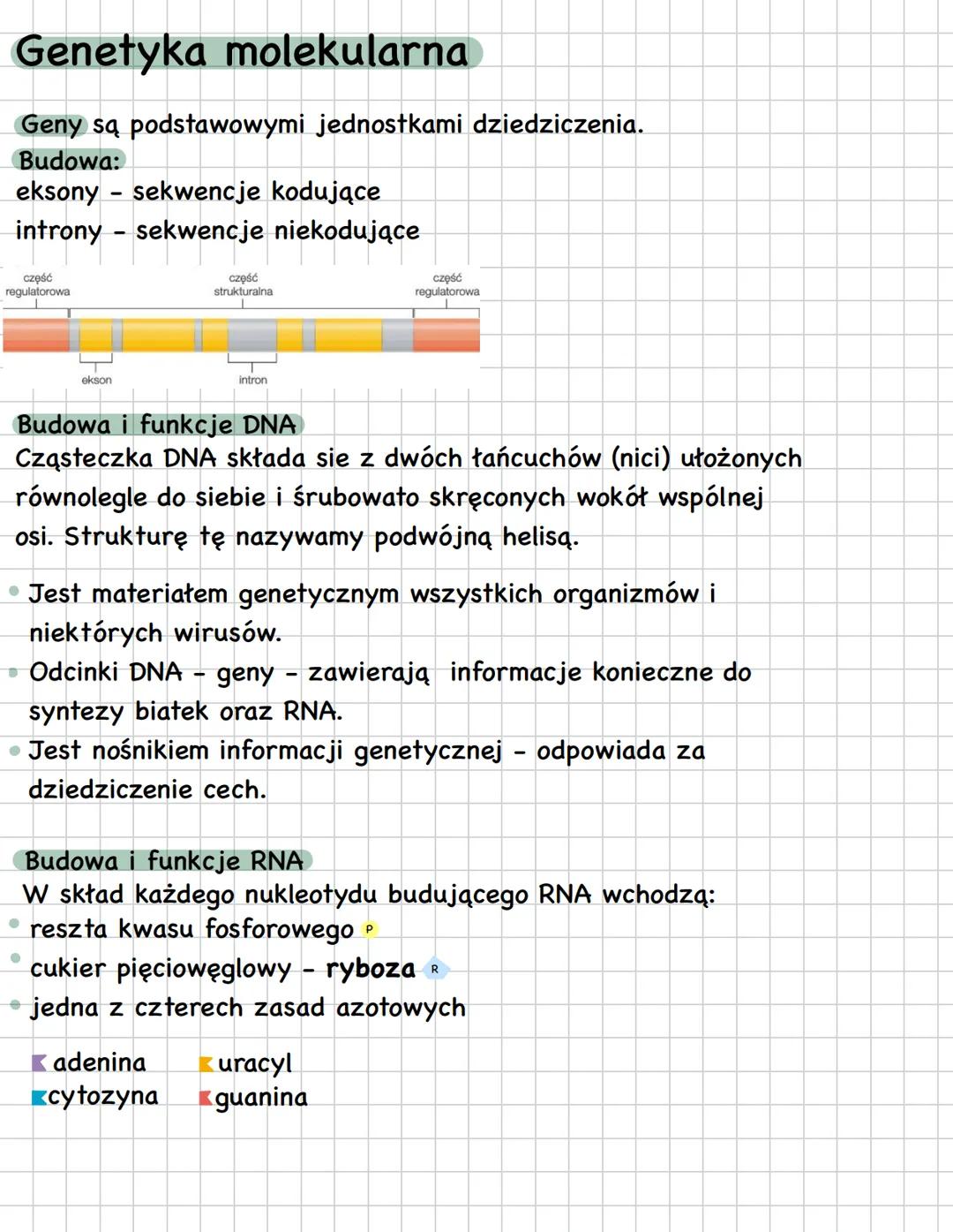 # Genetyka molekularna
Geny są podstawowymi jednostkami dziedziczenia.
Budowa:
eksony - sekwencje kodujące
introny sekwencje niekodujące
c