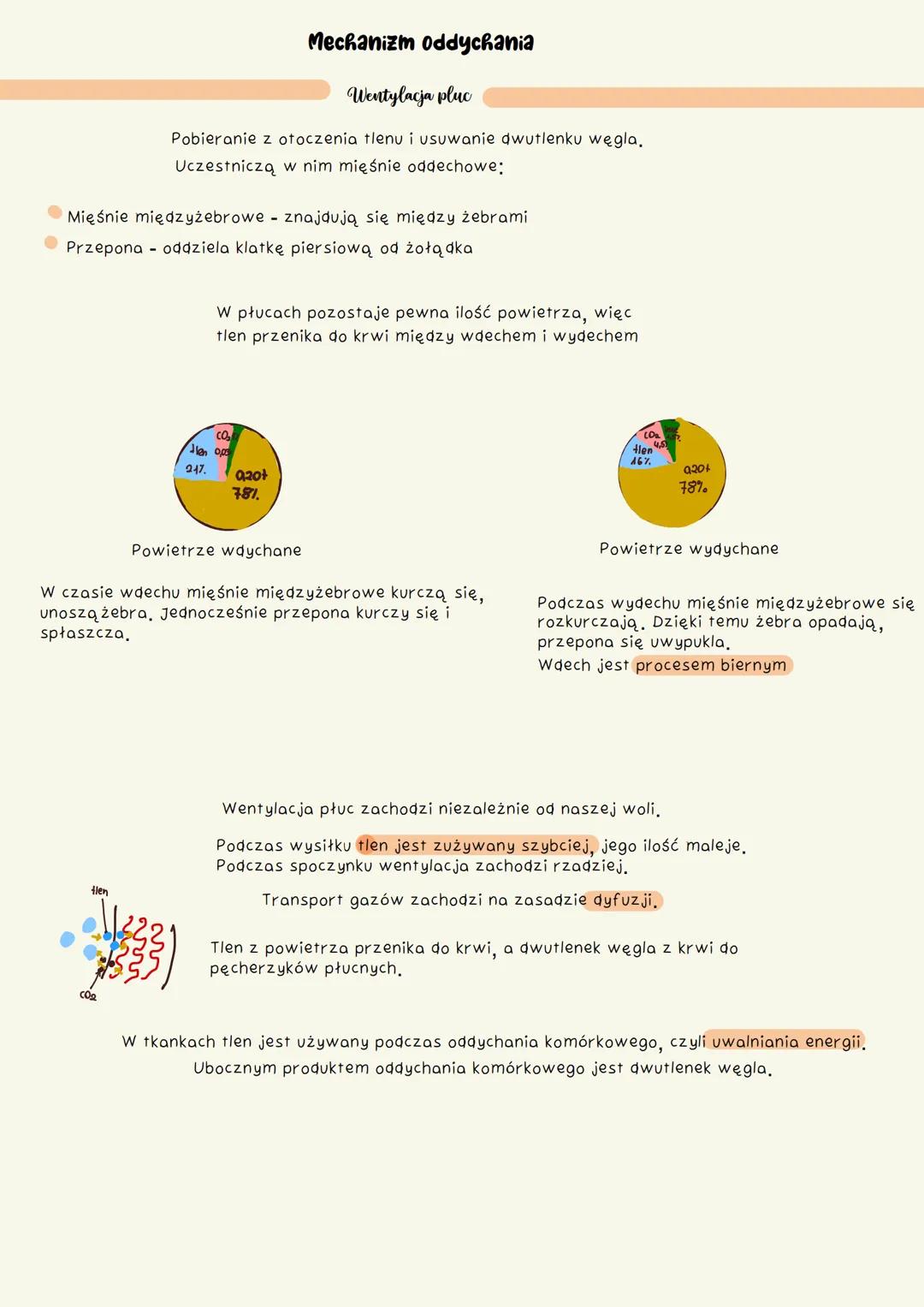 # Budowa i rola ukladu oddechowego
Powietrze jest oczyszczane dzięki rzęskom i śluzowi nabłonka, Śluz nawilża powietrze, co ułatwia
przeni