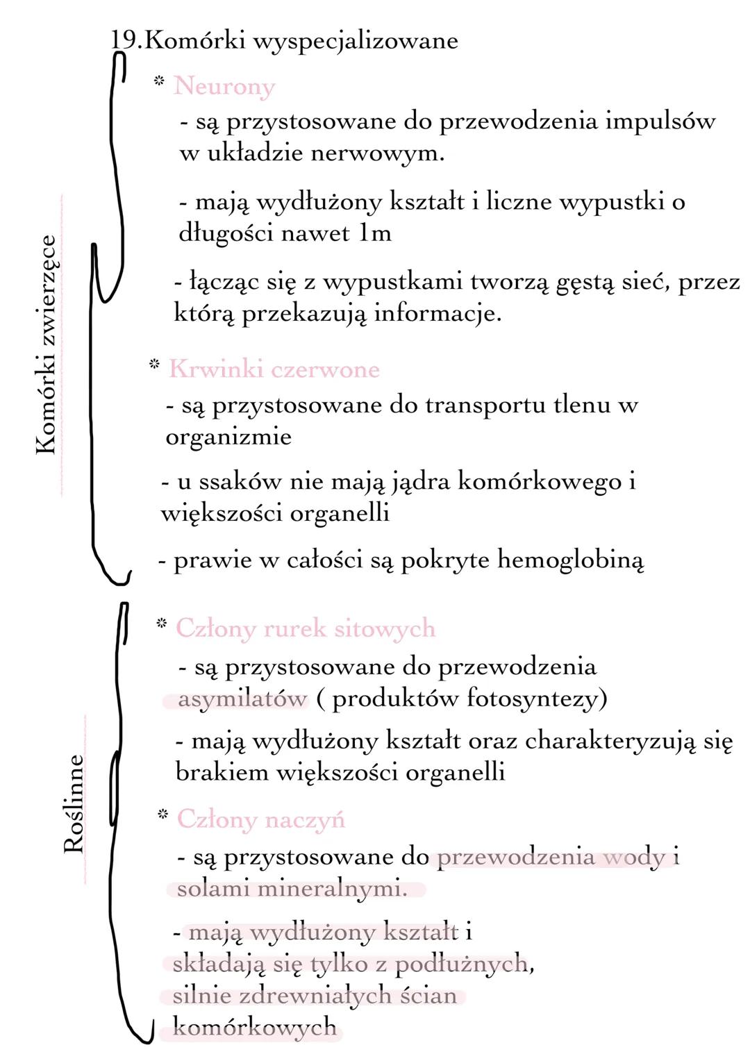 --- OCR Start ---
Budowa i funkcje komórki - i ich rodzaje
1. Komórka - podstawowa jednostka funkcjonalna i
budulcowa organzimu. Posiada zdo