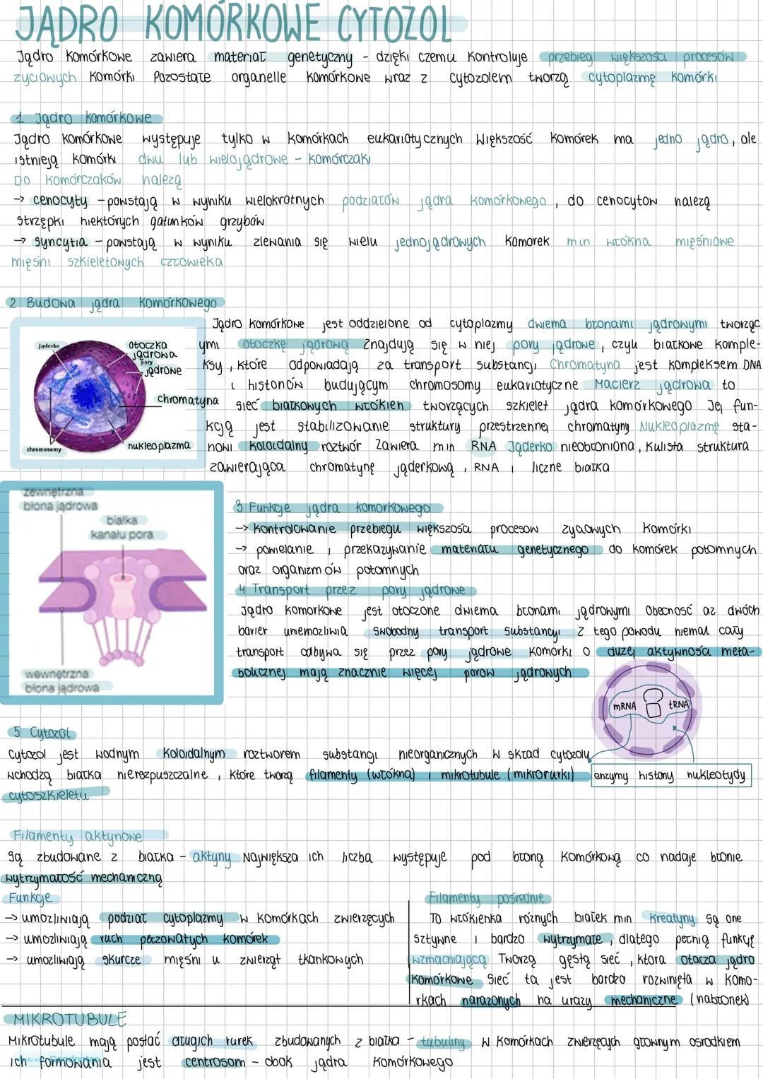 # JĄDRO KOMÓRKOWE CYTOZOL
Jądro Komórkowe zawiera materiat genetyczny dzięki czemu kontroluje przebieg większości procesow
zyciowych Komórki