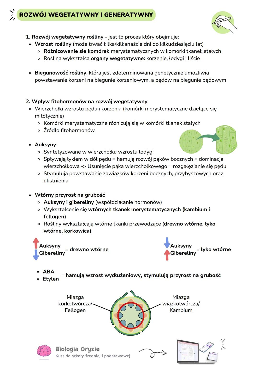 Rozwój wegetatywny i generatywny roślin