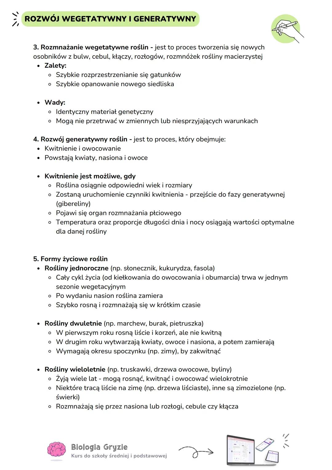 # ROZWÓJ WEGETATYWNY I GENERATYWNY
1. Rozwój wegetatywny rośliny - jest to proces który obejmuje:
 * Wzrost rośliny (może trwać kilka/kilka