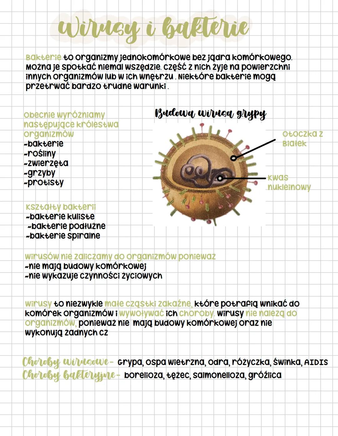 # Wirusy i bakterie
Bakterie to organizmy jednokomórkowe bez jądra komórkowego.
można je spotkać niemal wszędzie. część z nich żyje na powi