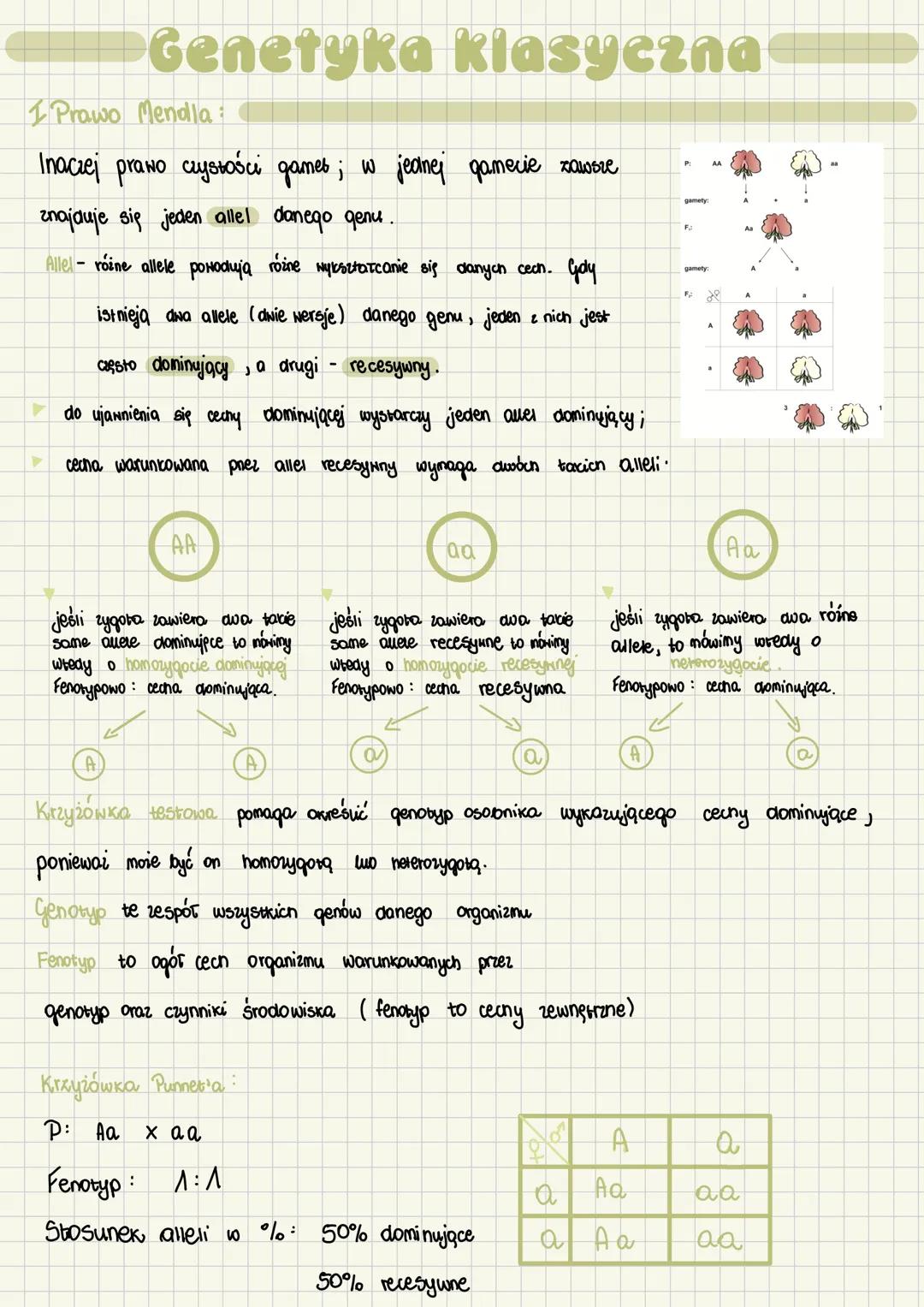 # Genetyka klasyczna
I Prawo Mendla:
Inaczej prano czystości games; w jednej gamecie zawsze
znajduje się jeden allel danego genu.
Allel -