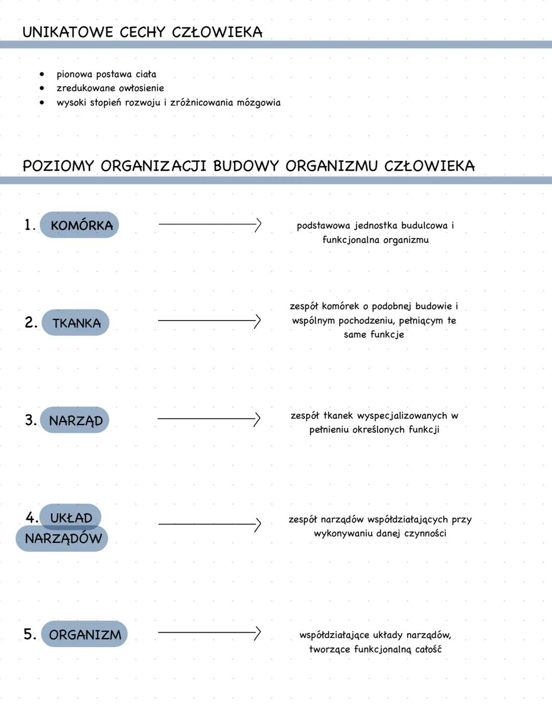 # UNIKATOWE CECHY CZŁOWIEKA
- pionowa postawa ciała
- zredukowane owłosienie
- wysoki stopień rozwoju i zróżnicowania mózgowia
# POZIOMY O
