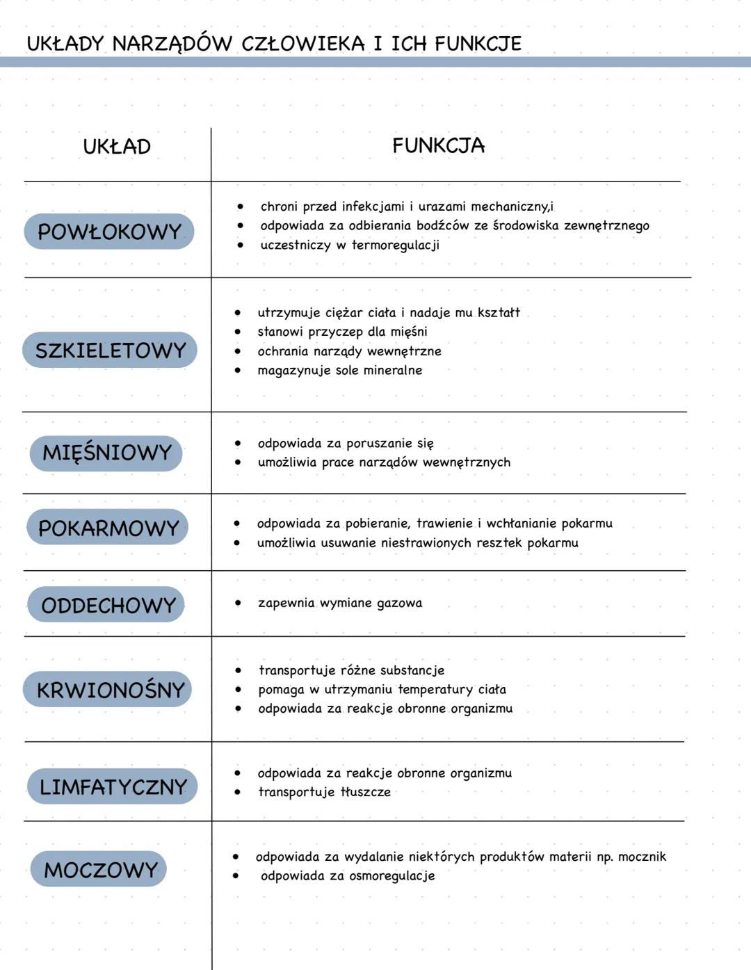 # UNIKATOWE CECHY CZŁOWIEKA
- pionowa postawa ciała
- zredukowane owłosienie
- wysoki stopień rozwoju i zróżnicowania mózgowia
# POZIOMY O