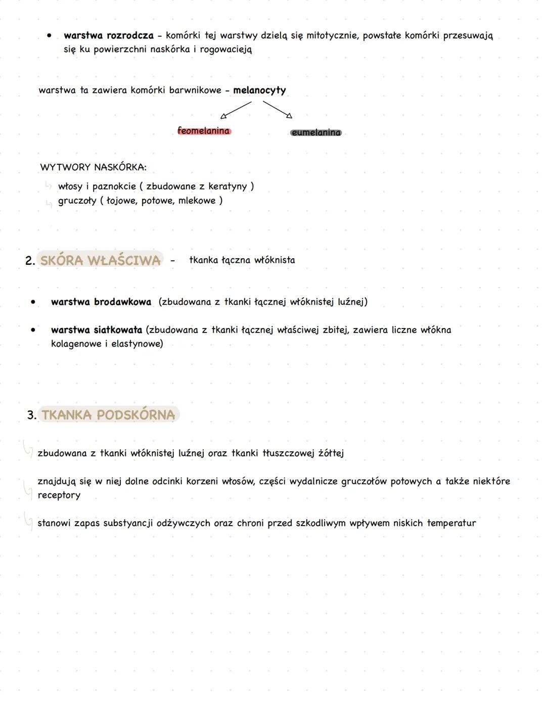 # budowa i funkcje skory
- jest największym narządem organizmu człowieka
- chroni organizm przed utratą wody i wpływem czynników zewnętrzny