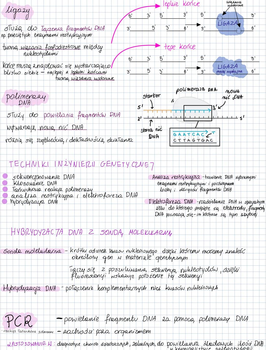 # BIOTECHNOLOGIA
NOLEKULARNA
ROLNICTWO MEDYCYNA UŻYTKOWANIE PRZEMYSŁ DZIAŁANIA
WOD PRAWNO-SPOŁECZNE
BIOTECHNOLOGIA BIOTECHNOLOGIA
TRADYCYJN