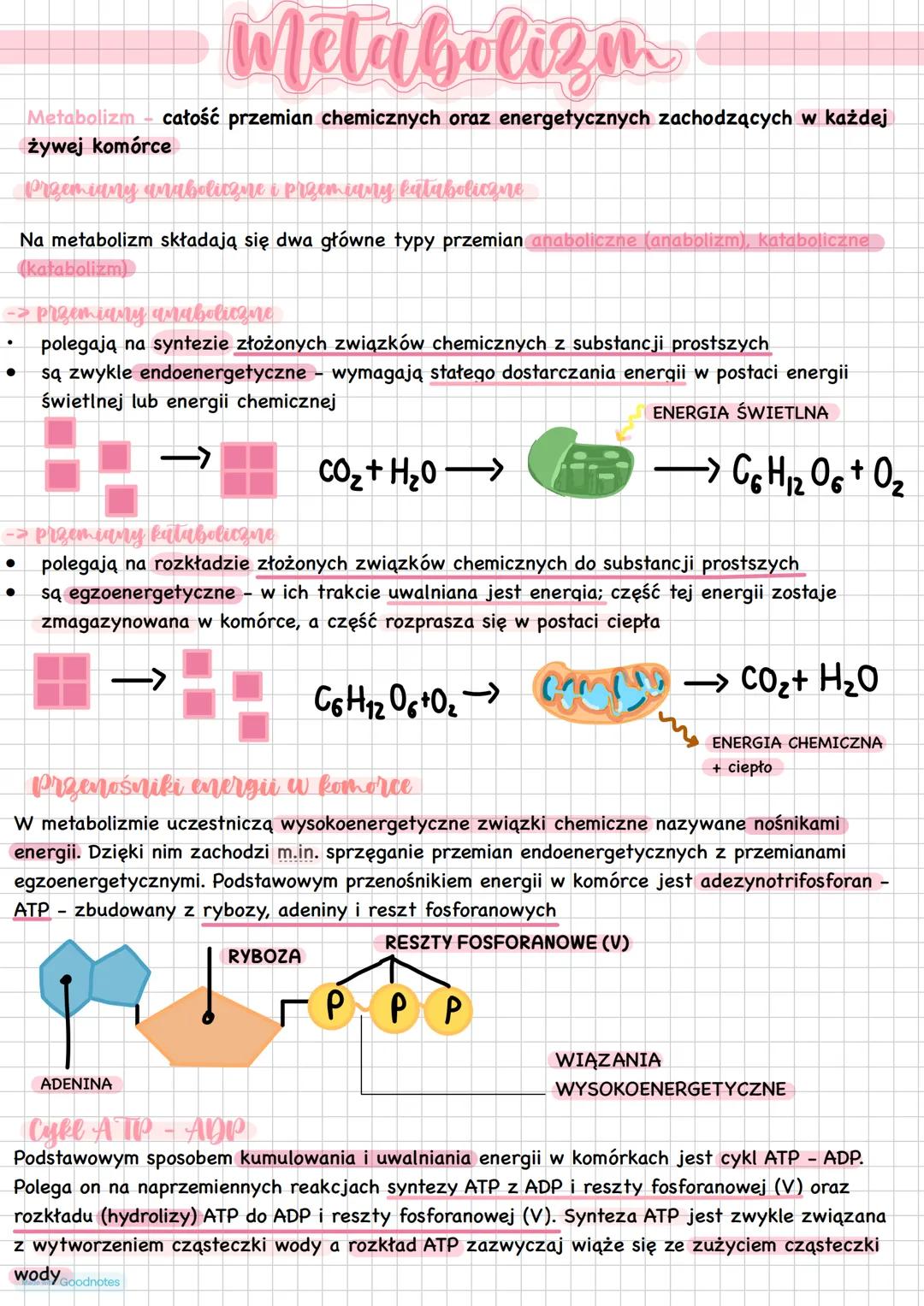 --- OCR Start ---
Metabolizm
Metabolizm całość przemian chemicznych oraz energetycznych zachodzących w każdej
żywej komórce
Przemiany unabol