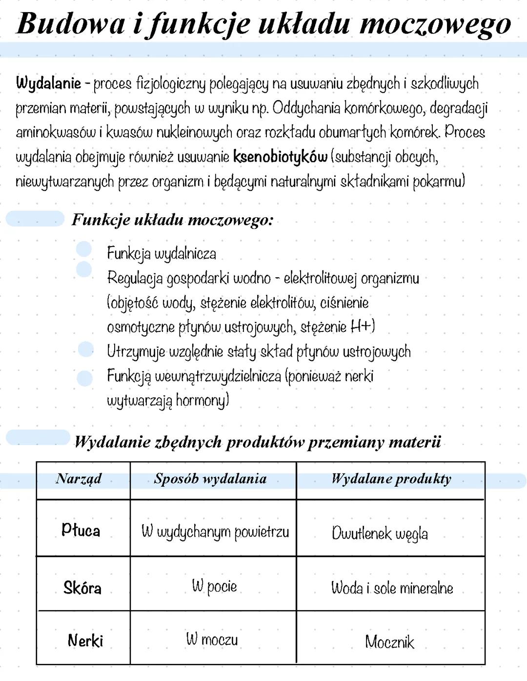 Budowa i funkcjonowanie układu moczowego - biologia rozszerzona