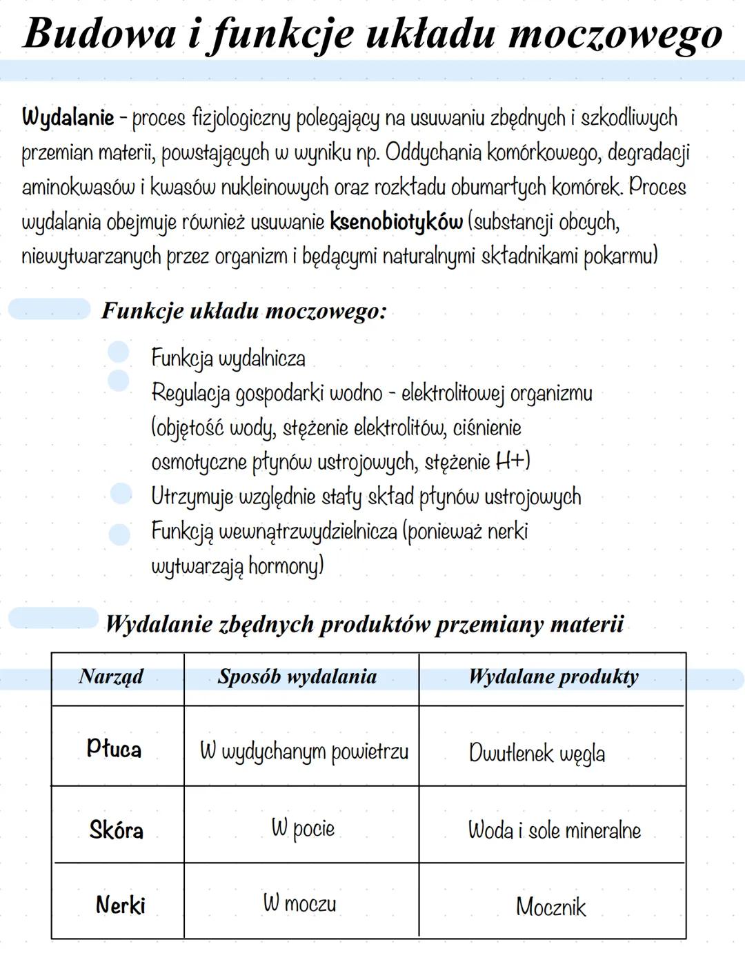 # Budowa i funkcje układu moczowego
Wydalanie - proces fizjologiczny polegający na usuwaniu zbędnych i szkodliwych
przemian materii, powsta