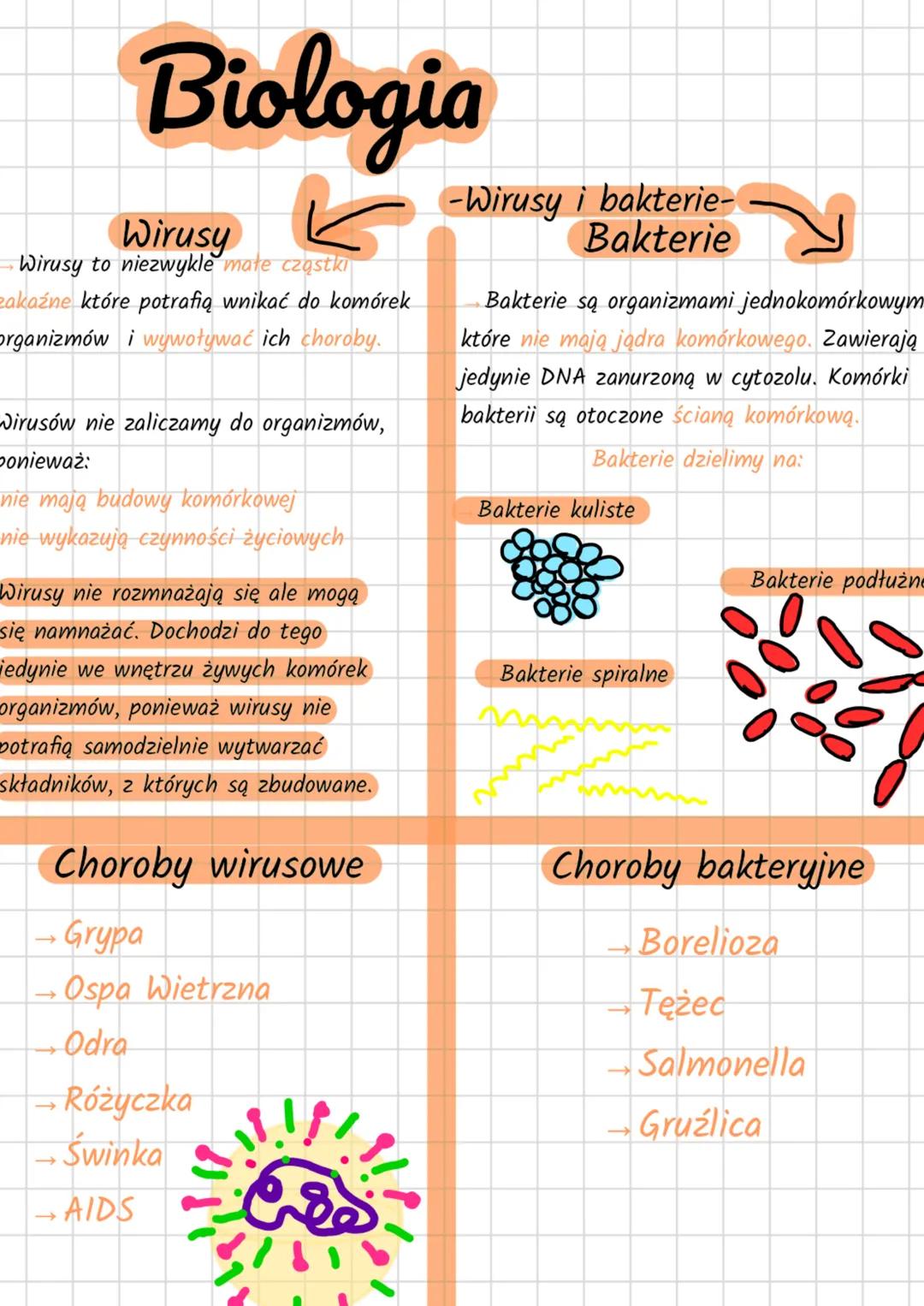 # Biologia
Wirusy
Wirusy to niezwykle małe cząstki
zakaźne które potrafią wnikać do komórek
Organizmów i wywoływać ich choroby.
Virusów n