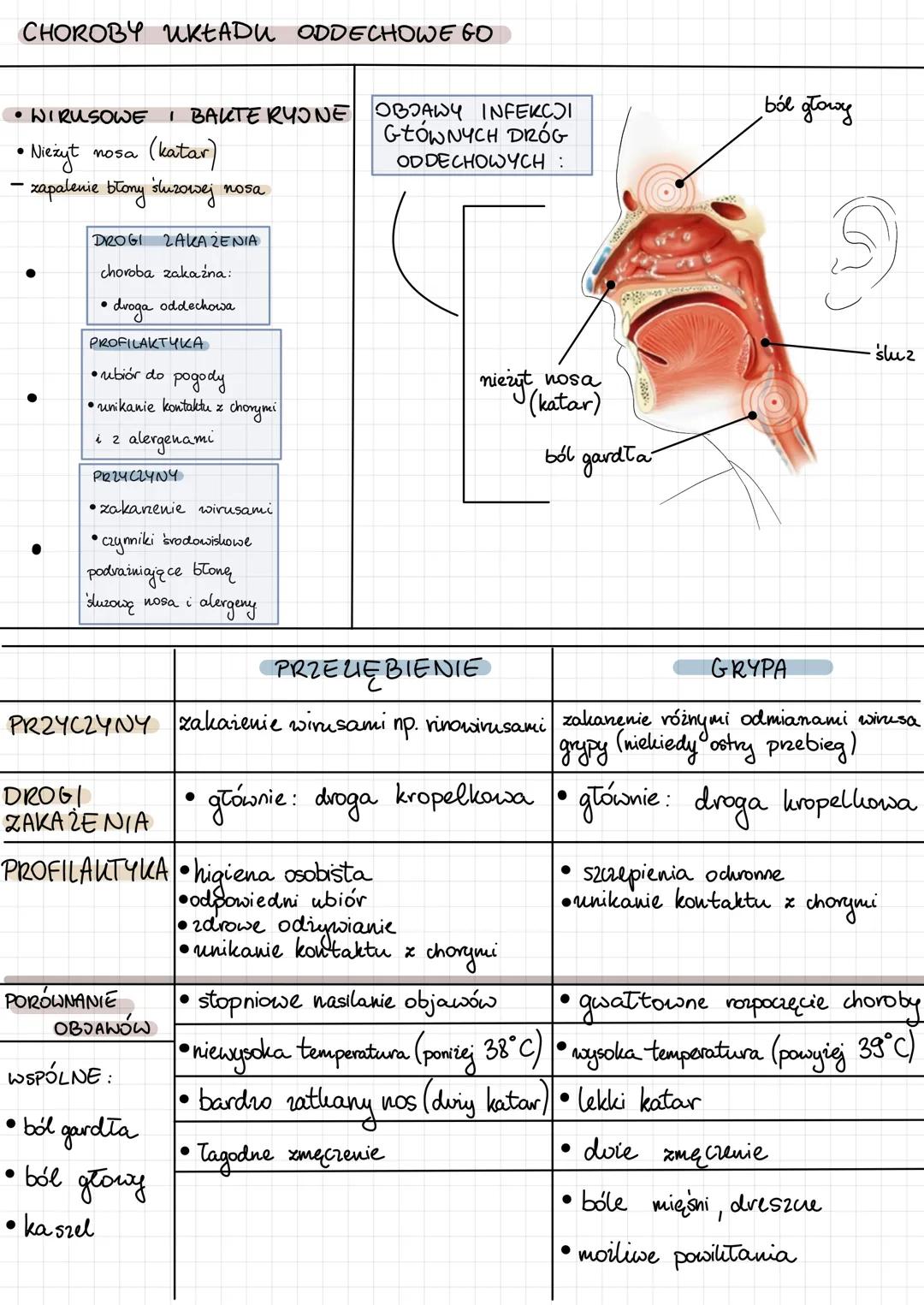 1) jama nosowa
2) Gardto
3) krtan-
4)tchawica
5) oskrnela główne
PŁUCA-
umożliwiają
wymianę
gazową.
9
Drogi oddechowe
są poliryte onę