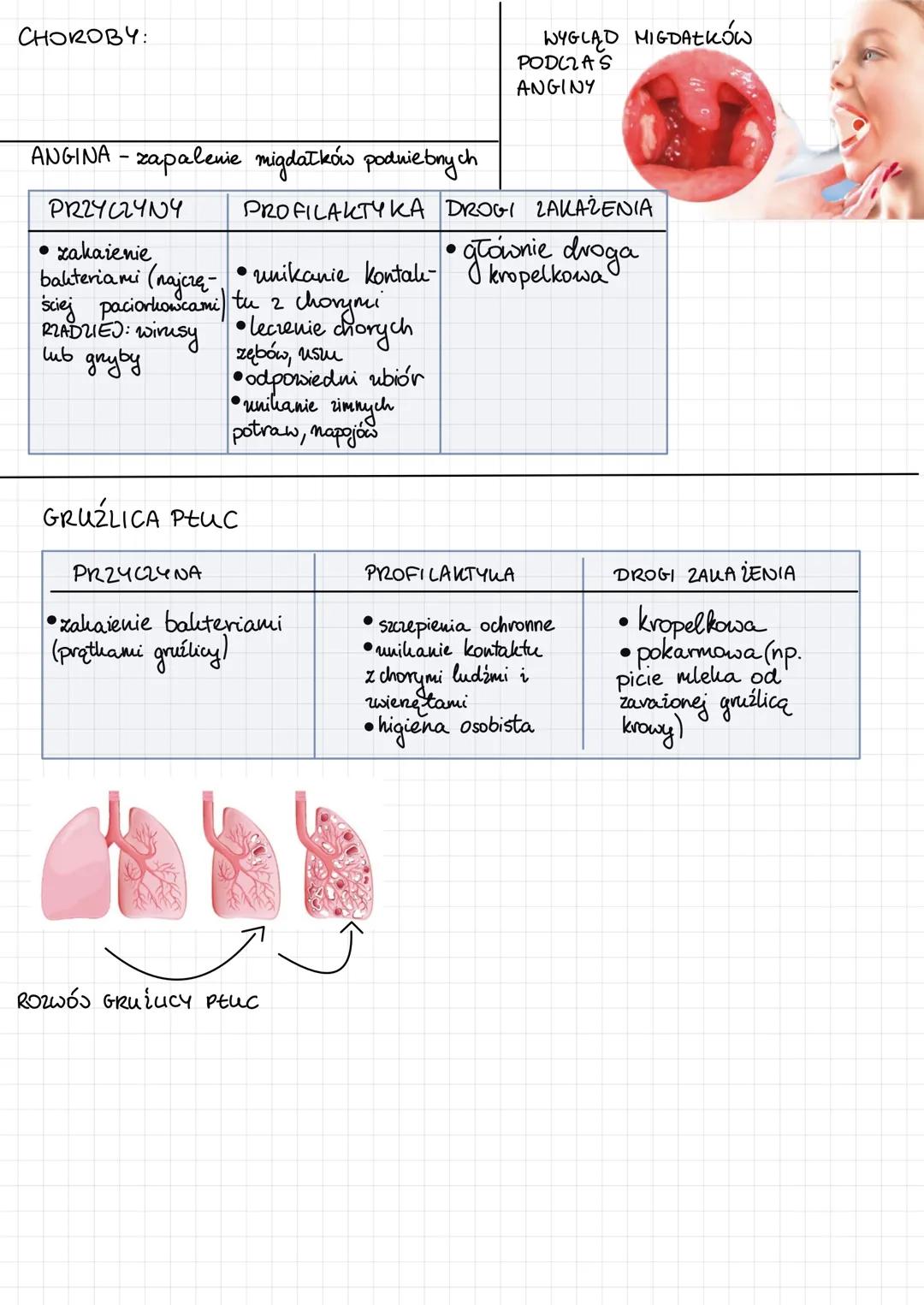 1) jama nosowa
2) Gardto
3) krtan-
4)tchawica
5) oskrnela główne
PŁUCA-
umożliwiają
wymianę
gazową.
9
Drogi oddechowe
są poliryte onę