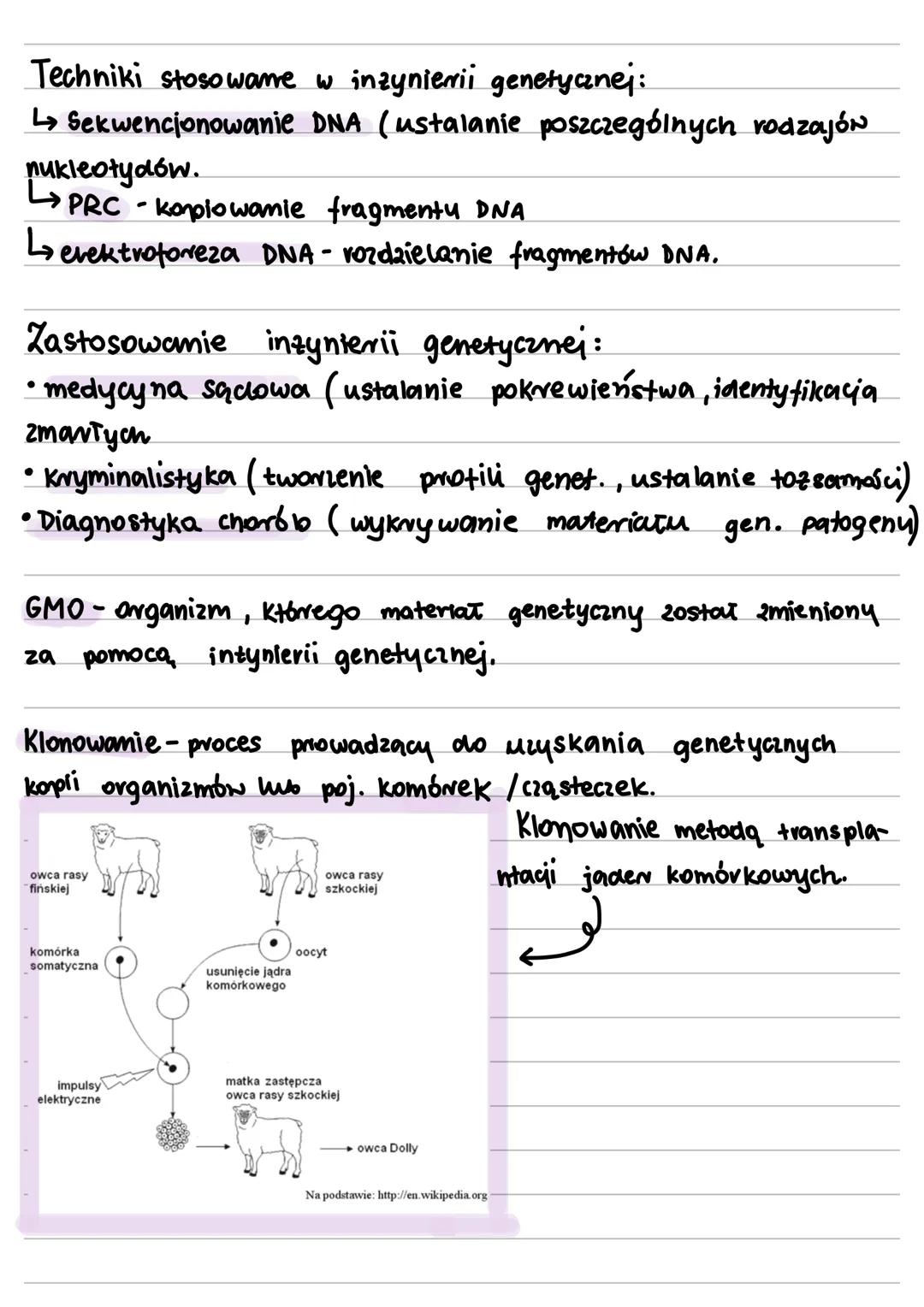 # Biotechnologia
Biotechnologia to dyscyplina naukowa, zajmująca się wyko-
vzystywaniem organizmów, wirusów lub ich składników do celów
pra