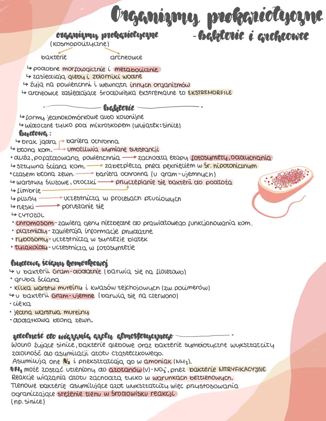 # Organizmy prokariotyczne
organizmy prckariotyczne
(Kosmopolityczne)
bakterie
-bakteric i archeowee
arcneowce
* podobne morfologiczni