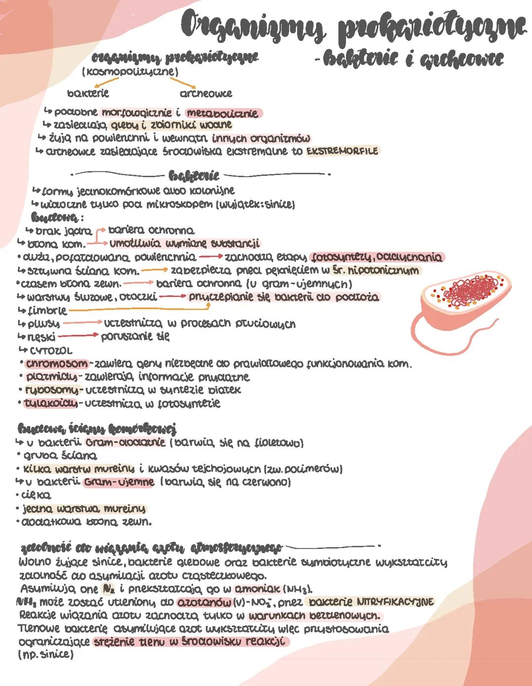 Różnorodność prokariontów, protistów, grzybów i porostów