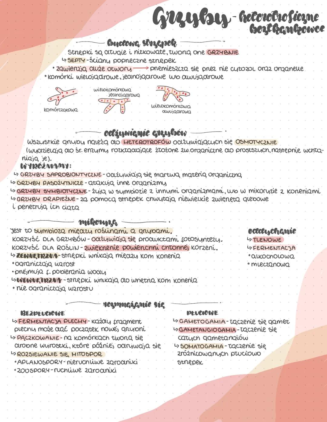--- OCR Start ---
Organizmų prokariotyczne
-bakteric i archeowee
organizmy prckariotyczne
(Kosmopolityczne)
bakterie
arcneowce
podobne morfo
