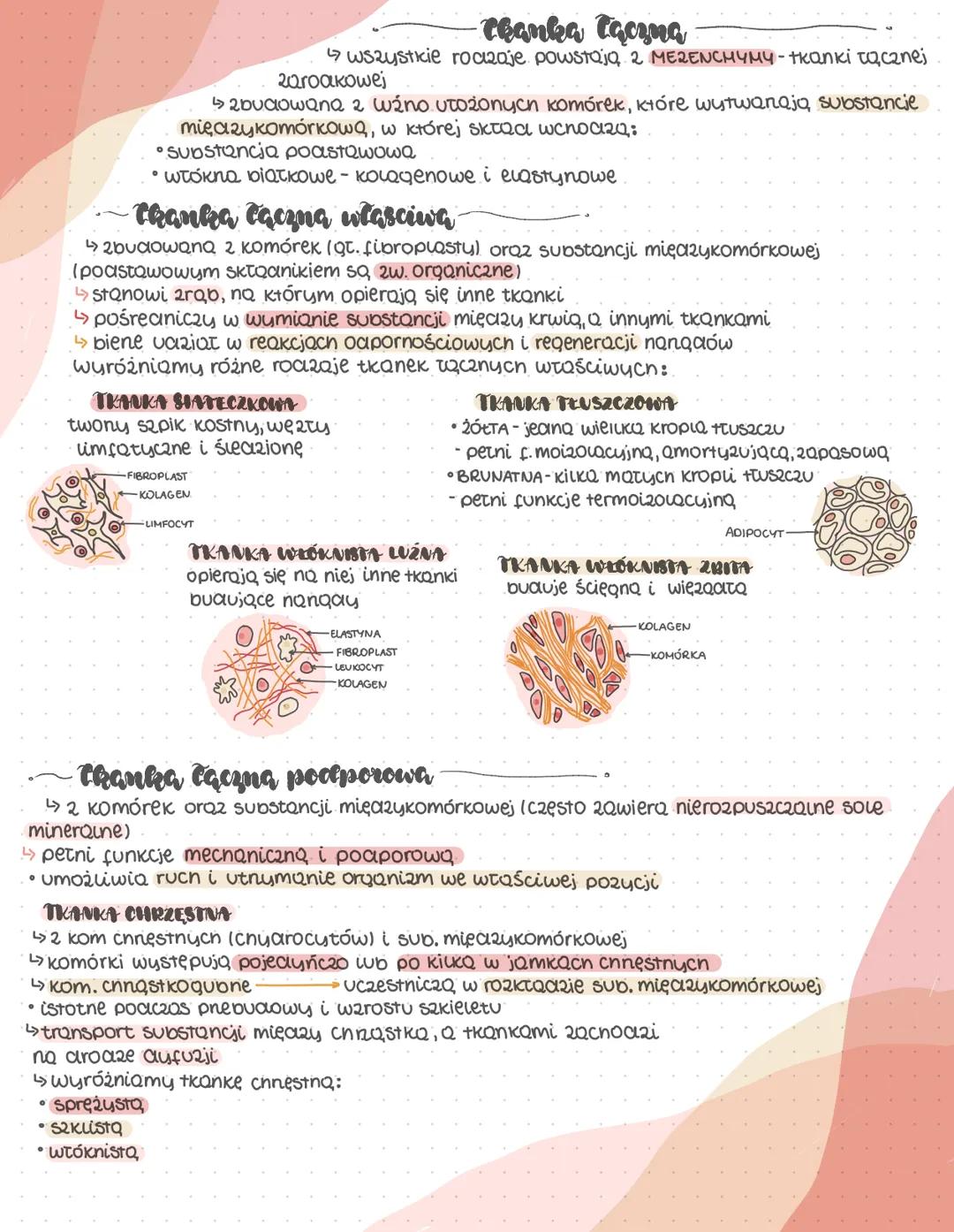 --- OCR Start ---
Thanki zwierzęc
TRANKI PIERWOTNE - Listki 2Qroakowe
formują się poaczas wczesnych etapów rozwoju zarodkowego
powstają z ni