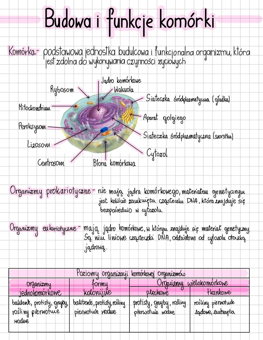# Budowa i funkcje komórki
Komórka podstawowa jednostka budulcowa i funkcjonalna organizmu, która
jest zdolna do wykonywania czynności zyci