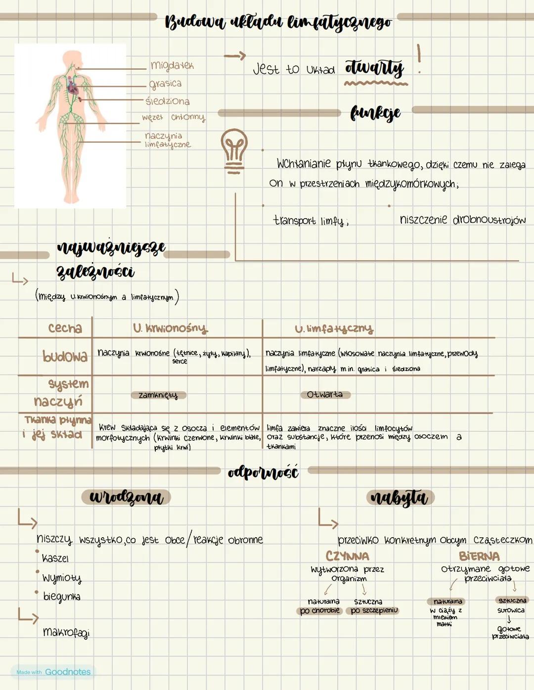 Made with Goodnotes Dzialv
Sklad i funkcje krwi
Osocze Ok.55%
leukocyty i płytki
Krwi Ok. 1%
Erytrocyty Ok 44%
Grupy krwi
A
0
B
0
AB A