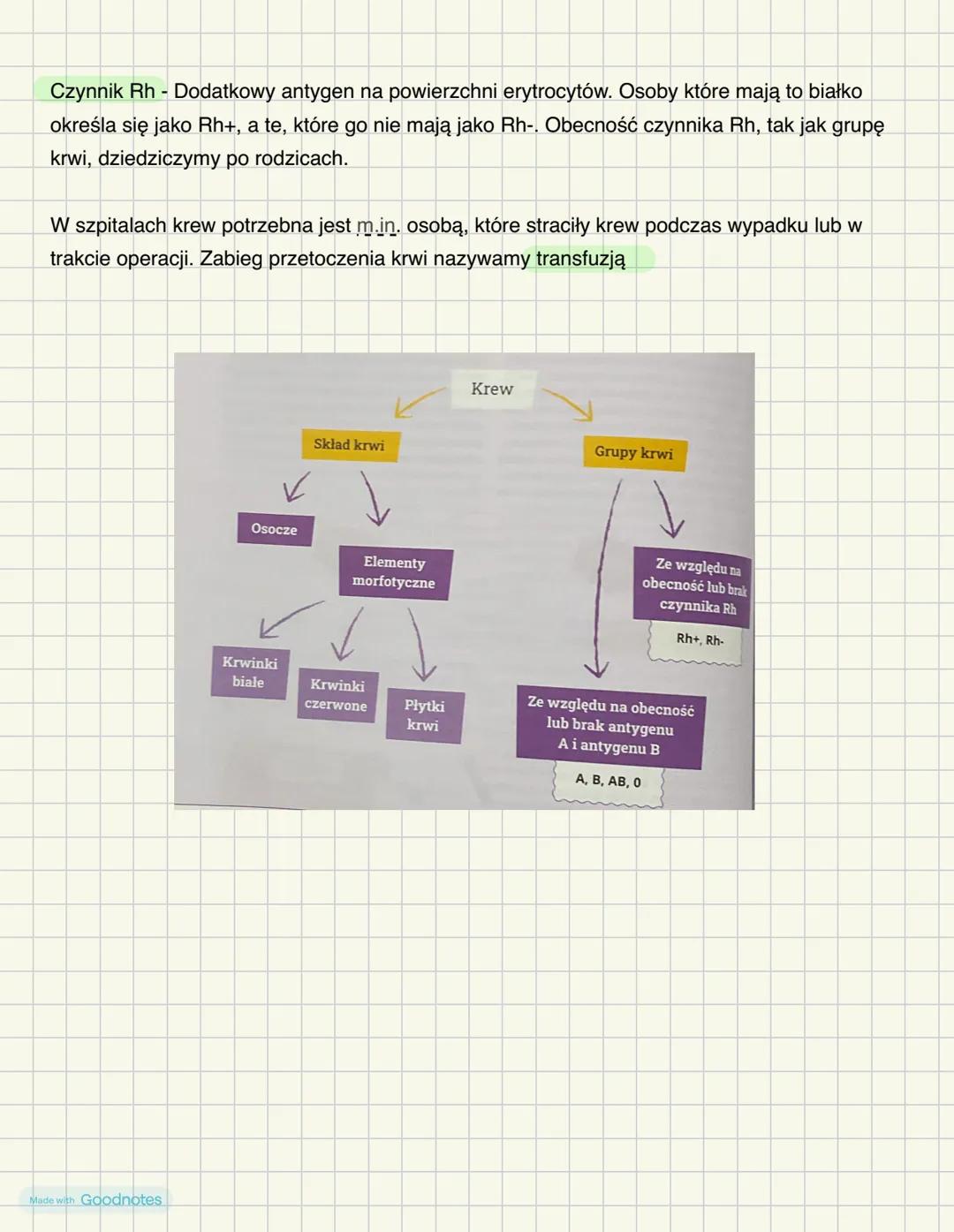 # Skład i funkcje krwi
Krew = osocze + elementy morfotyczne
Osocze- stanowi ok. 55% krwi człowieka, odpowiada za rozprowadzenie po organiz