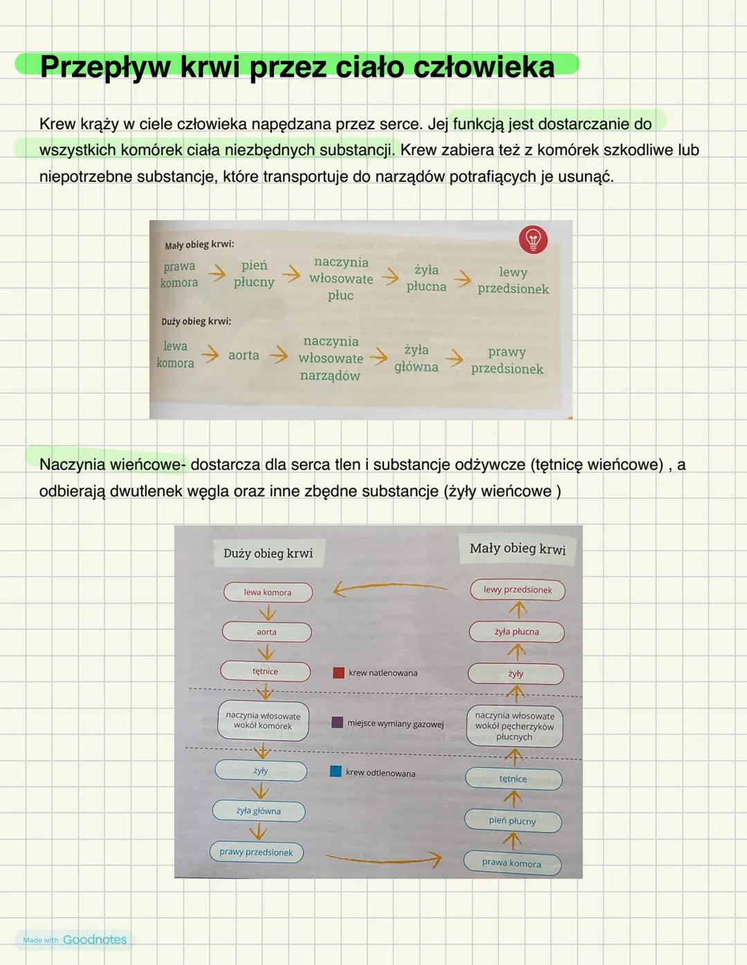 # Skład i funkcje krwi
Krew = osocze + elementy morfotyczne
Osocze- stanowi ok. 55% krwi człowieka, odpowiada za rozprowadzenie po organiz