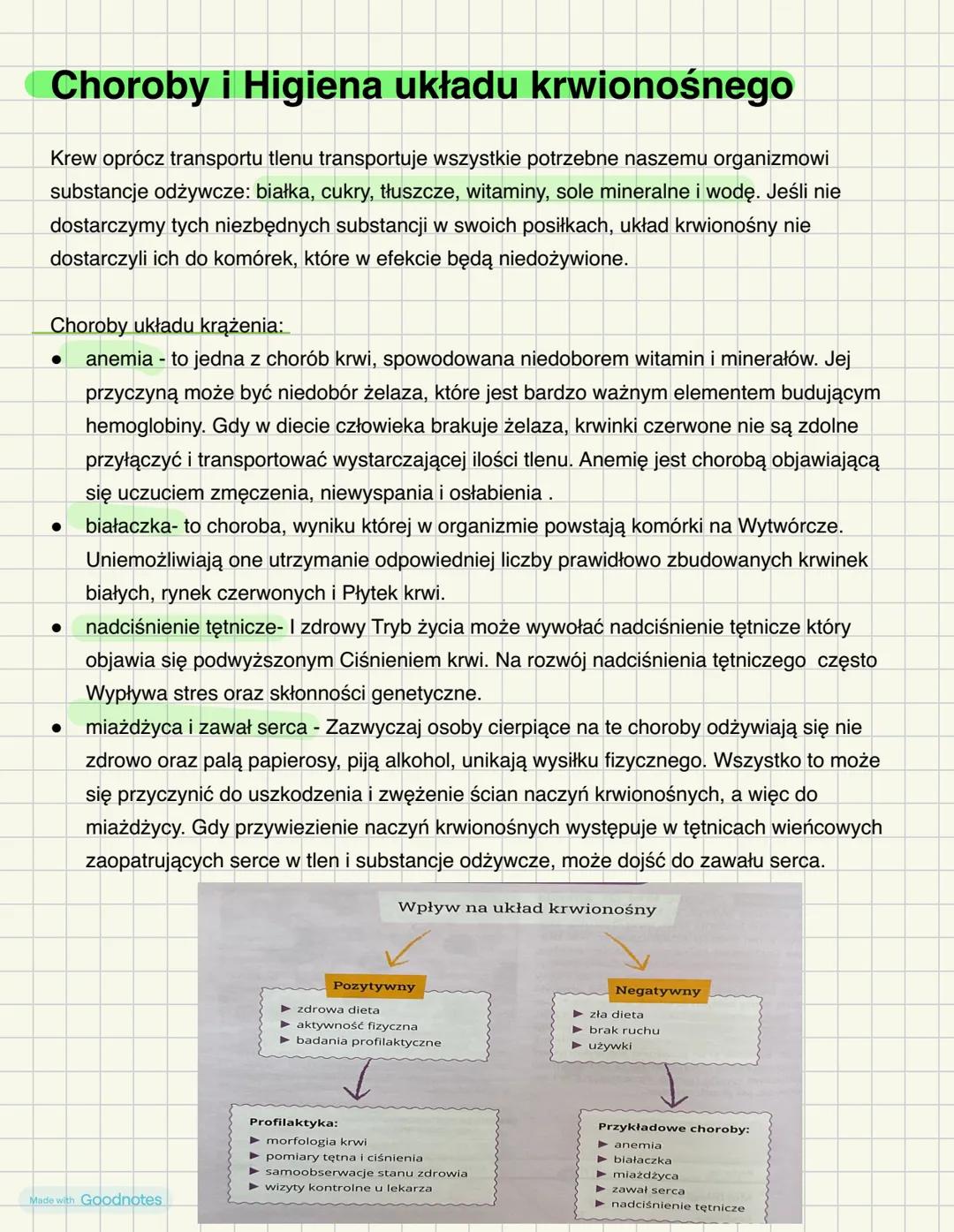 # Skład i funkcje krwi
Krew = osocze + elementy morfotyczne
Osocze- stanowi ok. 55% krwi człowieka, odpowiada za rozprowadzenie po organiz