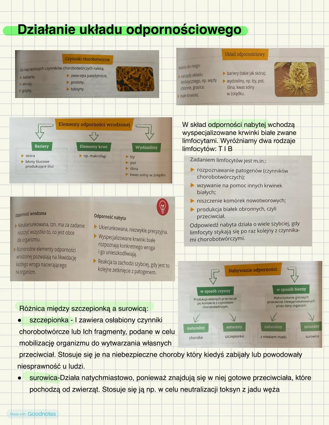 # Skład i funkcje krwi
Krew = osocze + elementy morfotyczne
Osocze- stanowi ok. 55% krwi człowieka, odpowiada za rozprowadzenie po organiz