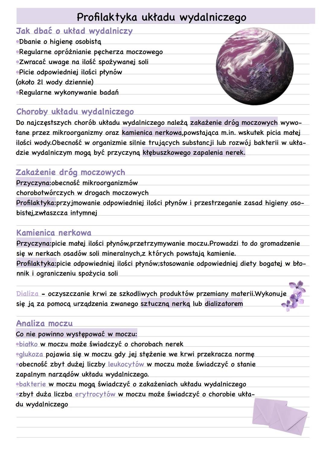 Higiena i choroby układu wydalniczego