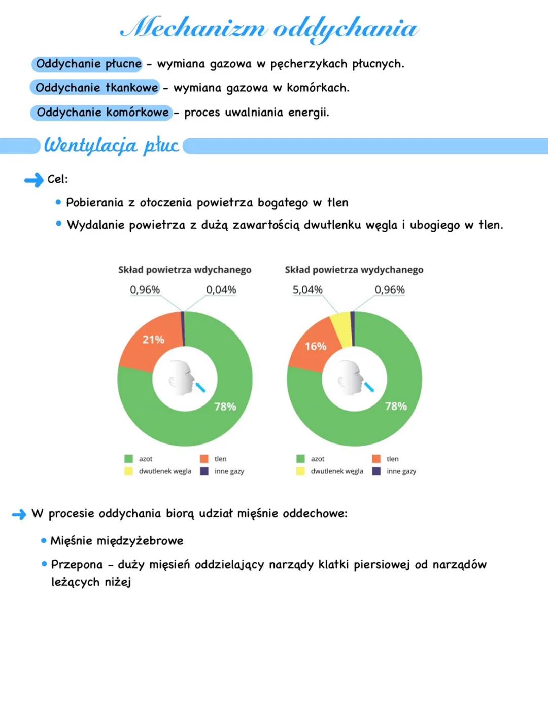 # Mechanizm oddychania
Oddychanie płucne wymiana gazowa w pęcherzykach płucnych.
Oddychanie tkankowe - wymiana gazowa w komórkach.
Oddych