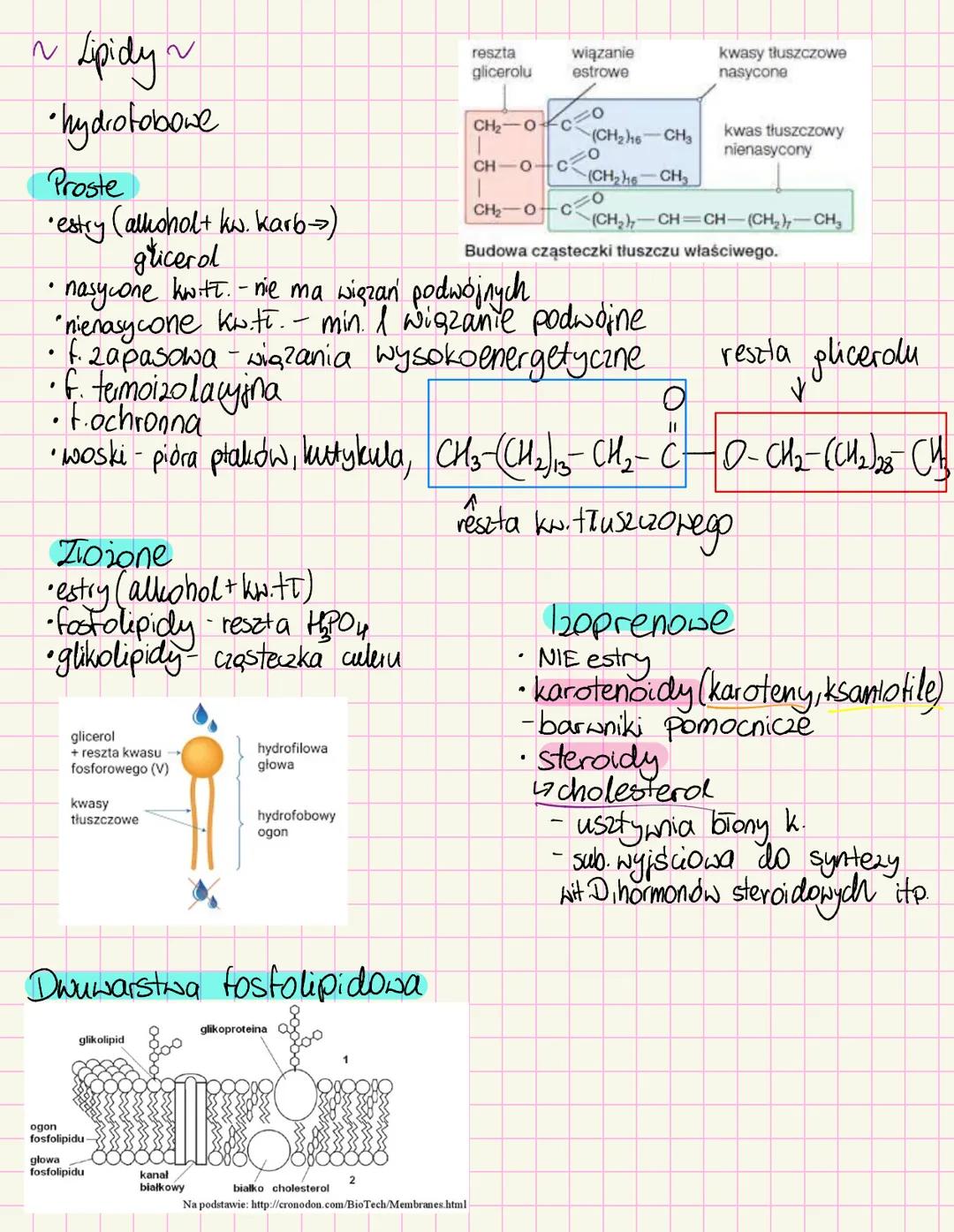 # Chemizm życia
~Skiad chemiczny organizmów~
Mikroelementy < Opil. suchej masy
• Żelazo-białka i ens enbymy, hemoglobina
• Jod- hormony