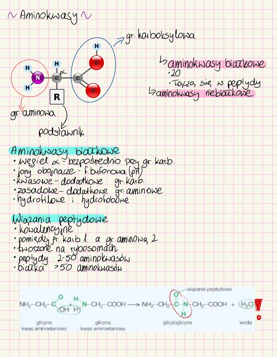 # Chemizm życia
~Skiad chemiczny organizmów~
Mikroelementy < Opil. suchej masy
• Żelazo-białka i ens enbymy, hemoglobina
• Jod- hormony