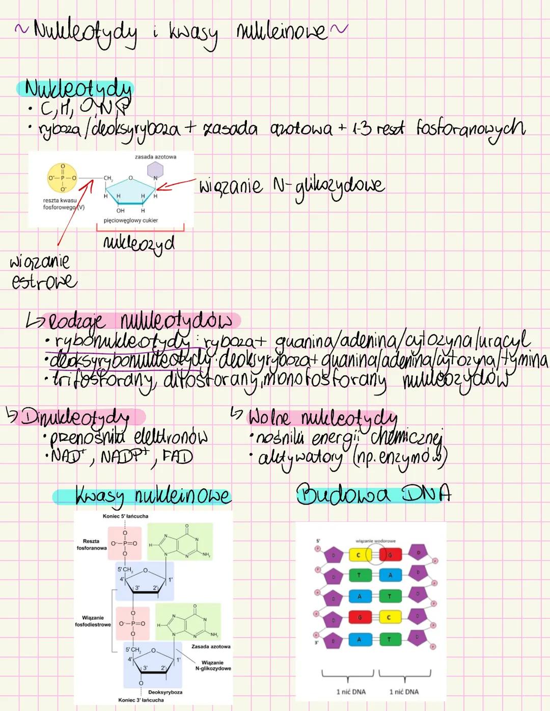 # Chemizm życia
~Skiad chemiczny organizmów~
Mikroelementy < Opil. suchej masy
• Żelazo-białka i ens enbymy, hemoglobina
• Jod- hormony