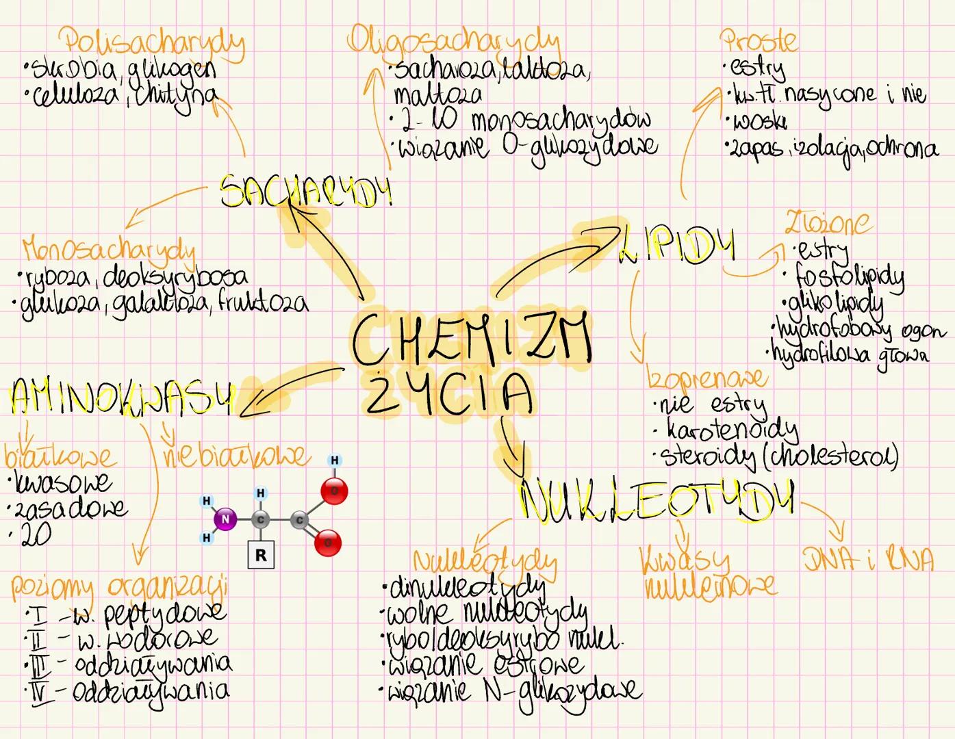 # Chemizm życia
~Skiad chemiczny organizmów~
Mikroelementy < Opil. suchej masy
• Żelazo-białka i ens enbymy, hemoglobina
• Jod- hormony