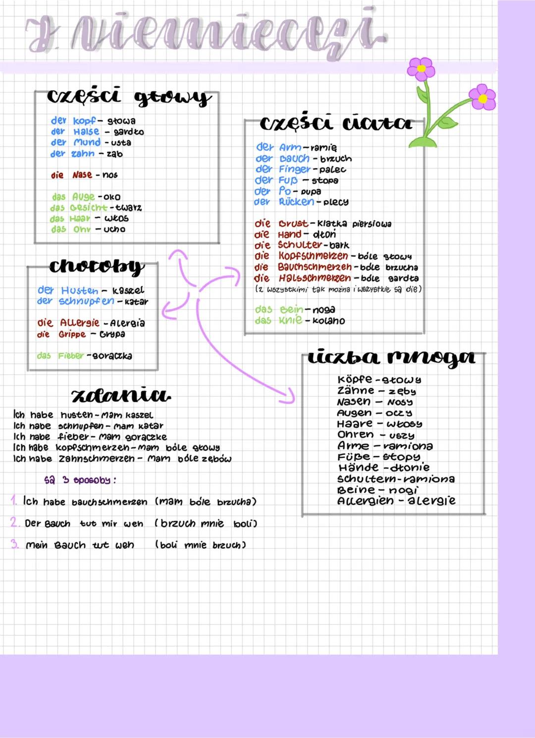 Język niemiecki choroby i części ciała