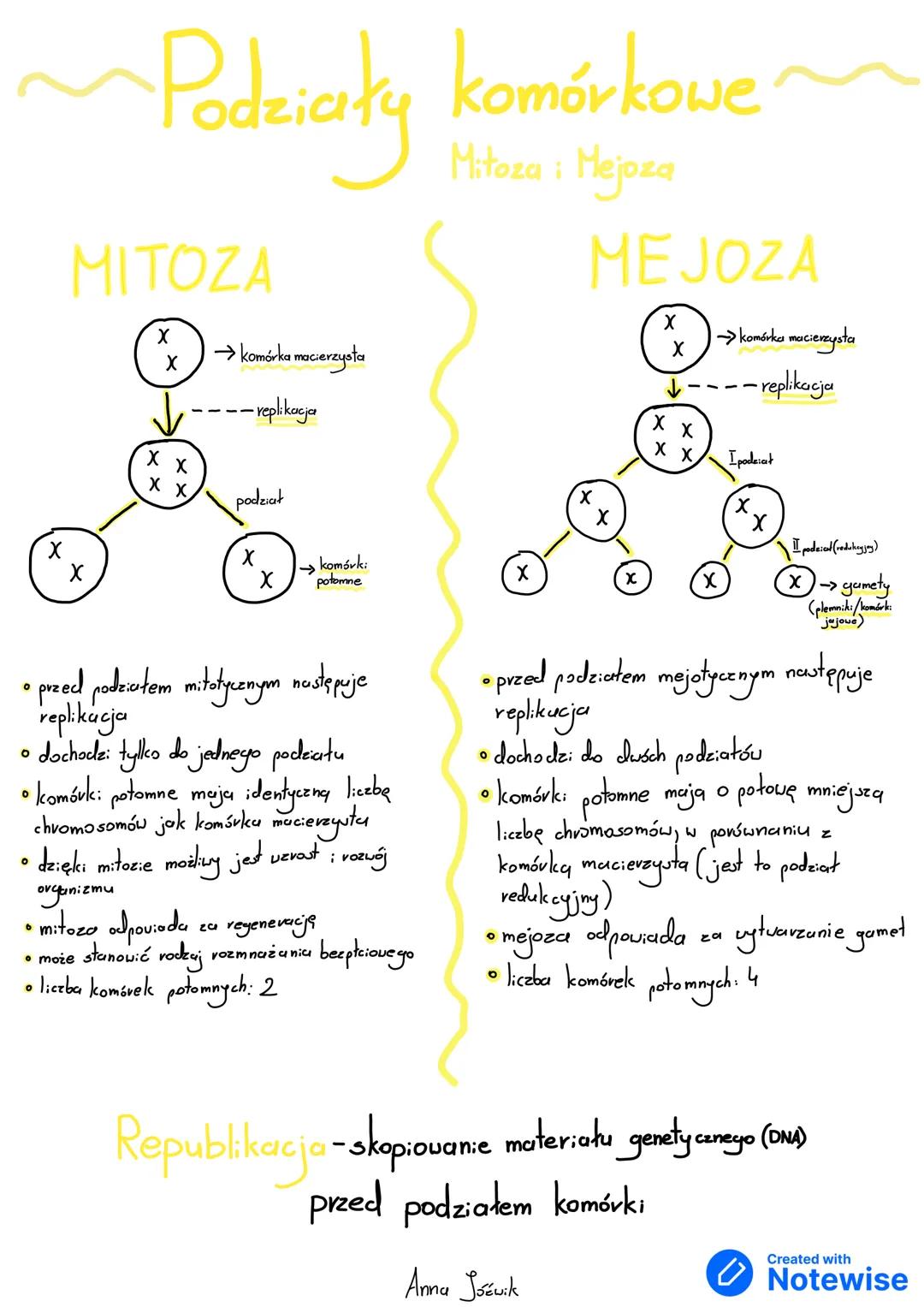 --- OCR Start ---
~Podziały komórkowe
Mitoza: Mejoza
MITOZA
X
X
X
X→ komórka macierzysta
Xx
X
----replikacja
MEJOZA
X
X
→ komórka macierzyst