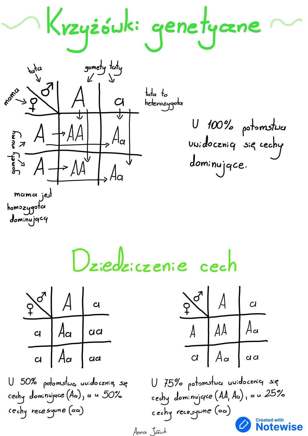 --- OCR Start ---
Podstawowe prawa
dziedziczenia
tego samego genu warunkująca
allel-wersja
wystąpienie np. ciemnego lub jasnego koloru włosó