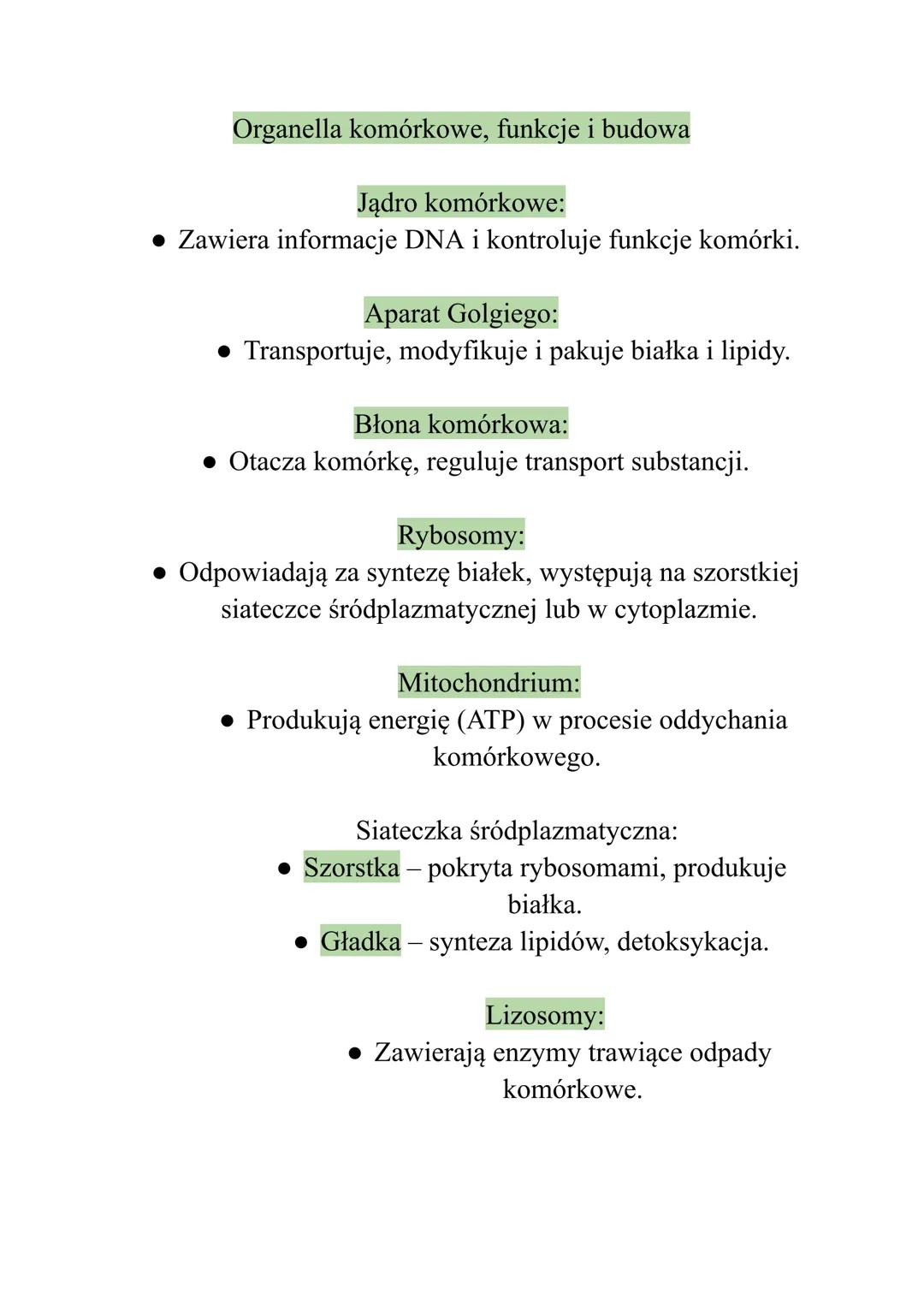 Organella komórkowe, funkcje i budowa
Jądro komórkowe:
• Zawiera informacje DNA i kontroluje funkcje komórki.
Aparat Golgiego:
• Transport