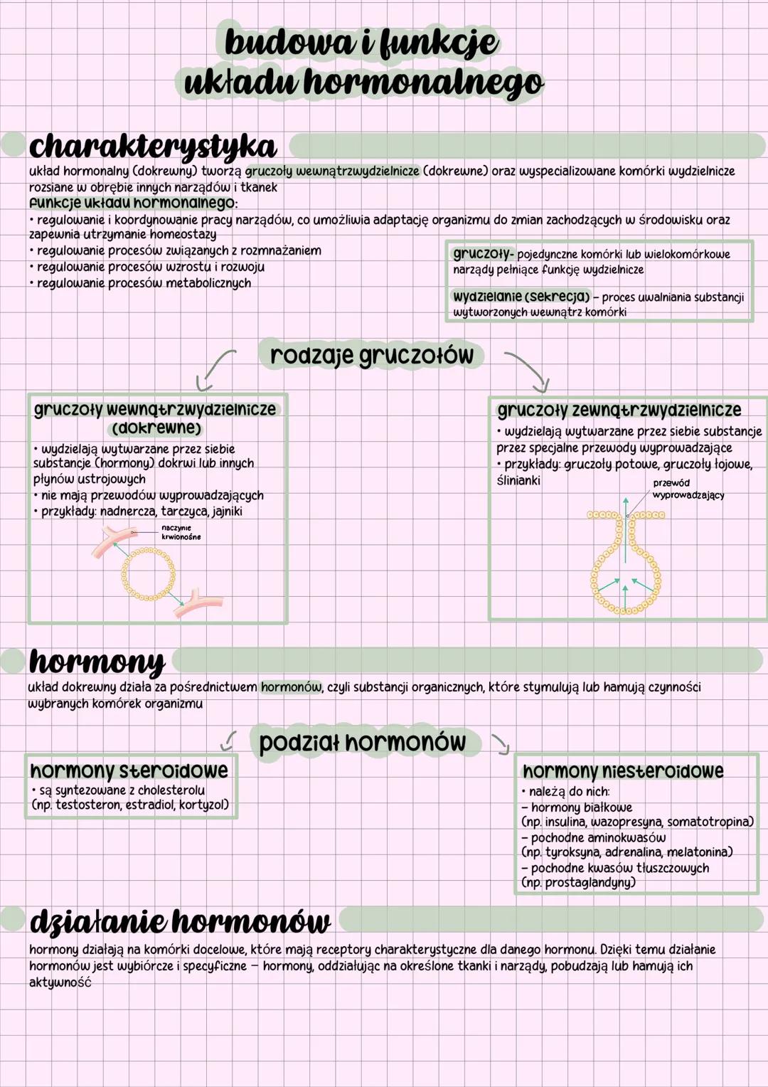 # budowa i funkcje
układu hormonalnego
## charakterystyka
układ hormonalny (dokrewny) tworzą gruczoły wewnątrzwydzielnicze (dokrewne) oraz