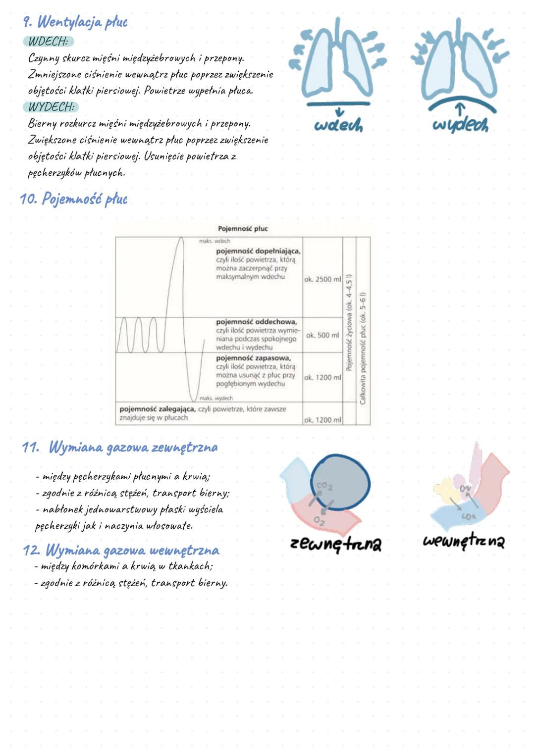 UKŁAD ODDECHOWY ~
1. Drogi oddechowe:
jama nosowa -> gardło -> krtań -> tchawica -> oskrzela -> płuca
2. Funckje układu oddechowego
- tr