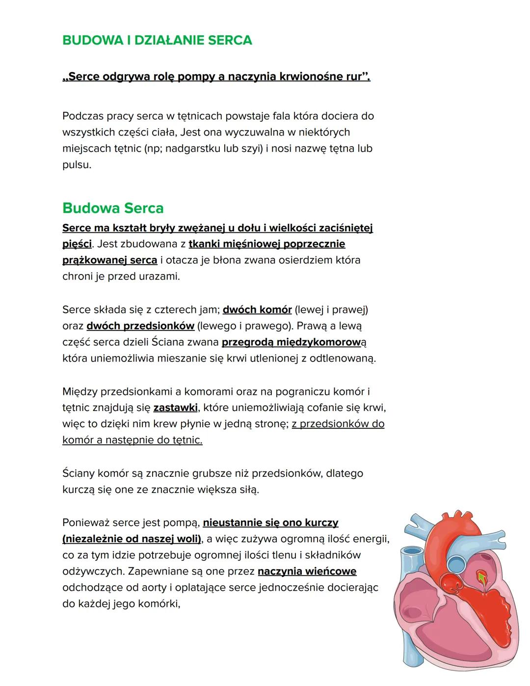 # Biologia „Układ Krążenia”
1) Budowa i funkcje krwi
2) Krążenie krwi
3) Budowa i działanie serca
4) Higiena i choroby układu krwionośne