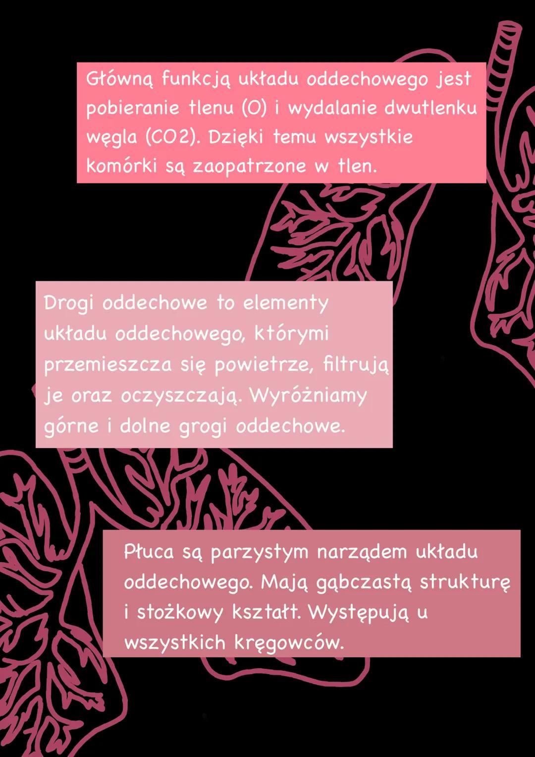 # UKŁAD
# ODDECHOWY Główną funkcją układu oddechowego jest
pobieranie tlenu (O) i wydalanie dwutlenku
węgla (CO2). Dzięki temu wszystkie
kom