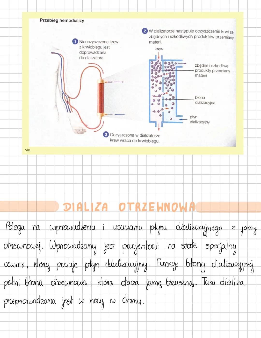 # UKŁAD WYDALNICZY
Funkcje
- wydalanie – usuwanie zbędnych, szkodliwych produktów przemiany materii
- osmoregulacja – regulowanie poziomu