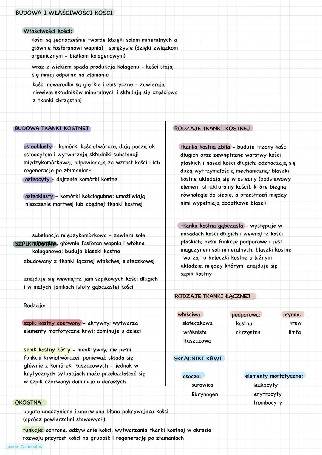 # UKŁAD KOSTNY - SZKIELET OSIOWY
inaczej szkielet lub kościec
zestaw wszystkich kości występujących u człowieka (dorosły ok. 206 kości, now