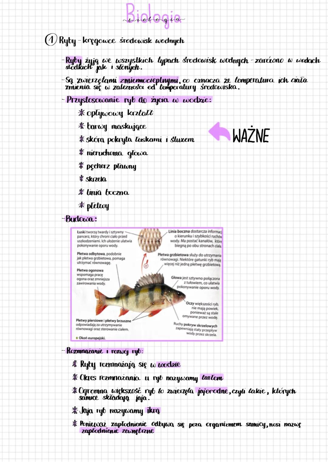 # Biologia
① Ryby-kręgowce środowisk wodnych
- Ryby żyją we wszystkich typach środowisk wodnych - zariono w wodach
słodkich jak i słonych.